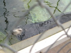 休日の親父は疲れてるんだYO! 休日の親父は疲れてるんだYO!