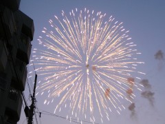 やっぱこれだの。 やっぱこれだの。