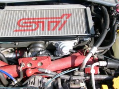 見た目は「普通」 見た目は「普通」