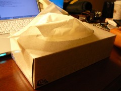 厚手だ。 厚手だ。