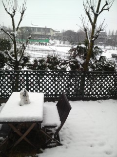 テーブルが綺麗。。。 テーブルが綺麗。。。