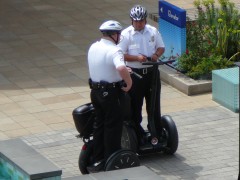 実は楽しそう。乗せてくれ。。。 実は楽しそう。乗せてくれ。。。