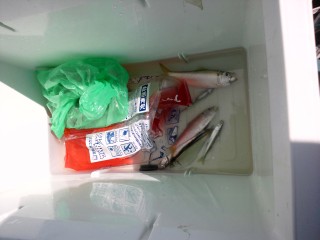 これだけかよ! これだけかよ!