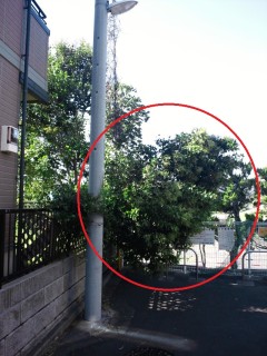 もっさり倒れてる〜(TдT) もっさり倒れてる〜(TдT)