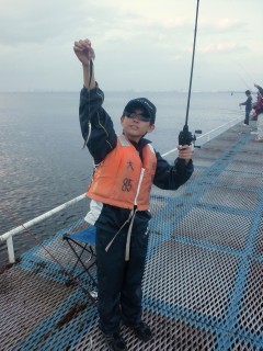 イワシ4匹(1匹落ちて逃げた・・) イワシ4匹(1匹落ちて逃げた・・)