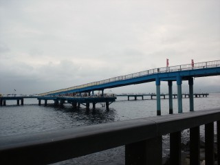 海釣り公園(´-ω-`) 海釣り公園(´-ω-`)