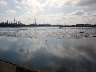 干潟状態w 干潟状態w