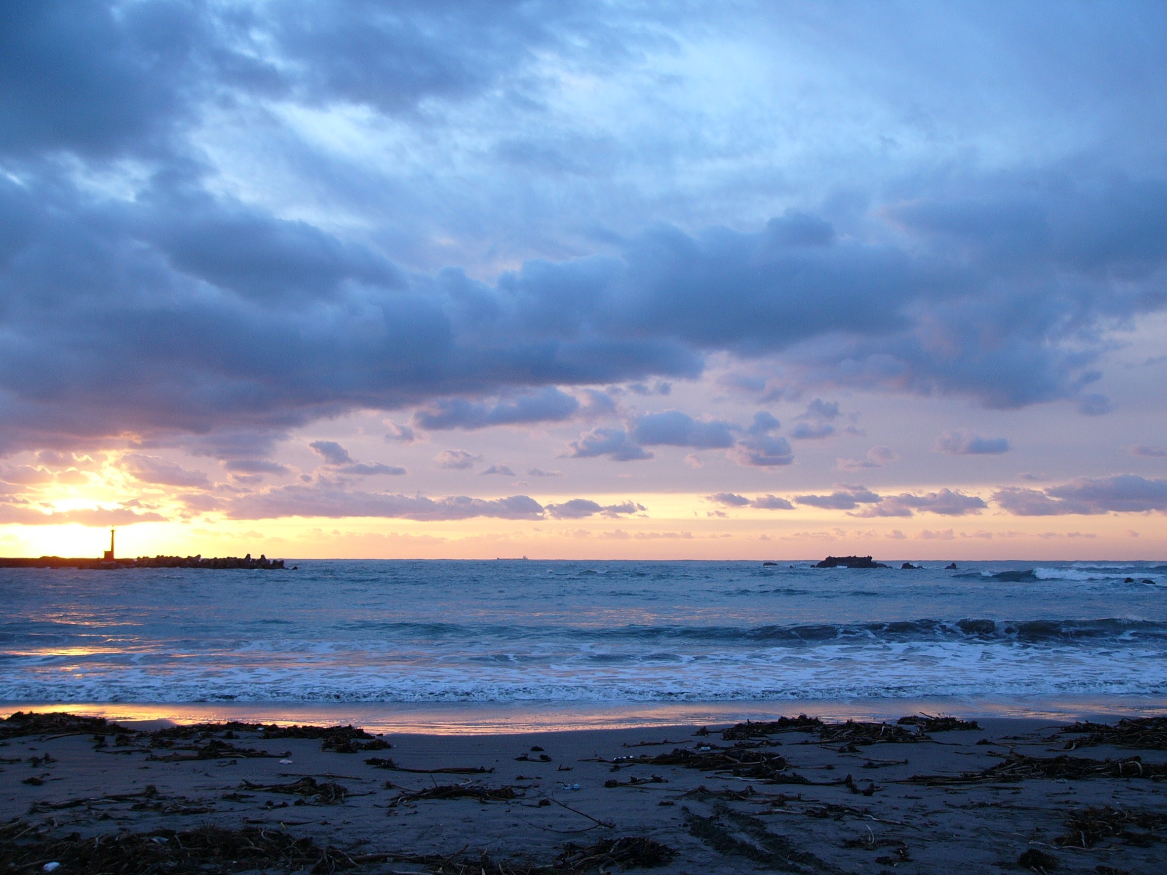 紫がキレイ 紫がキレイ