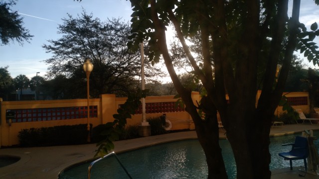 早朝だよ。 早朝だよ。