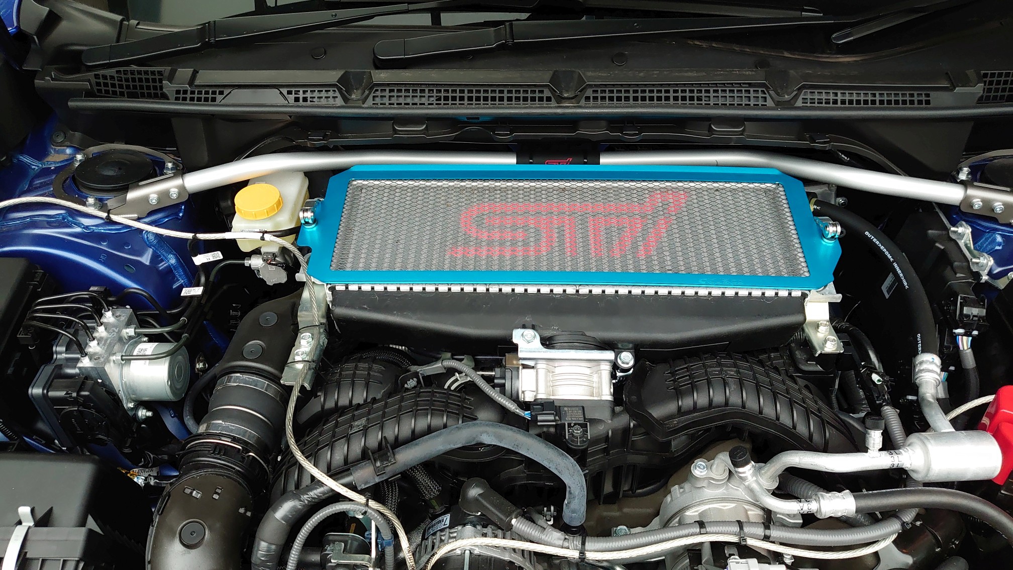 どうすか? どうすか?