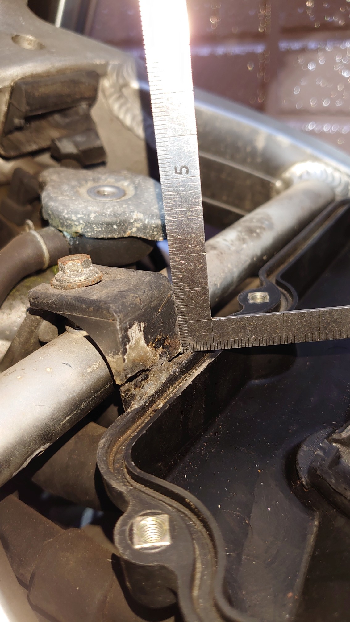 根元で折れてる 根元で折れてる